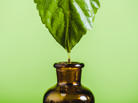 植物油.jpg